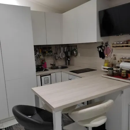 Διαμέρισμα Neve Grebaštica