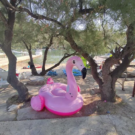 Neve Beachfront